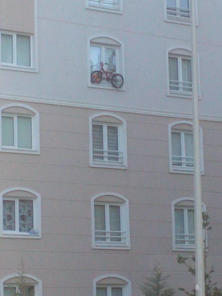 Hem şaşırtıyor hem de güldürüyor