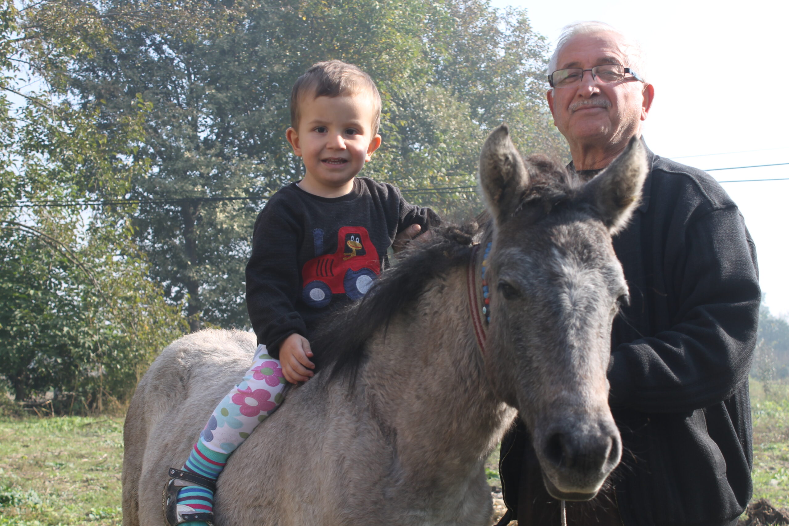 Tay ve minik çocuğun dostluğu