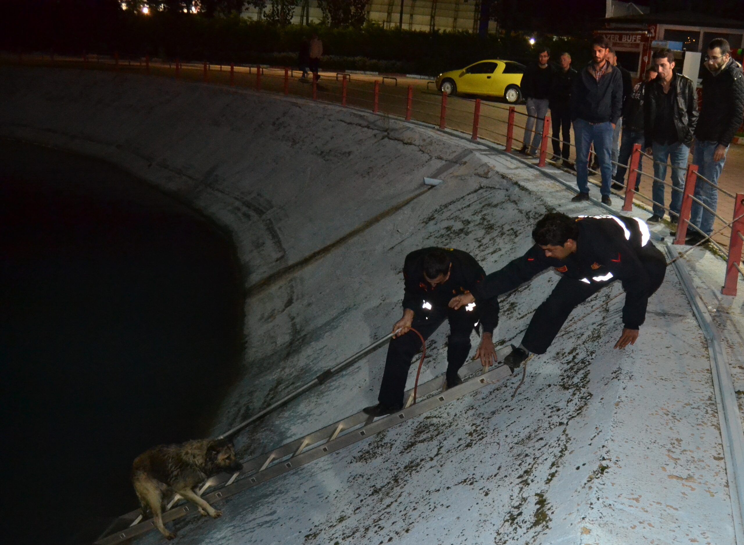 Köpek kurtarma operasyonu