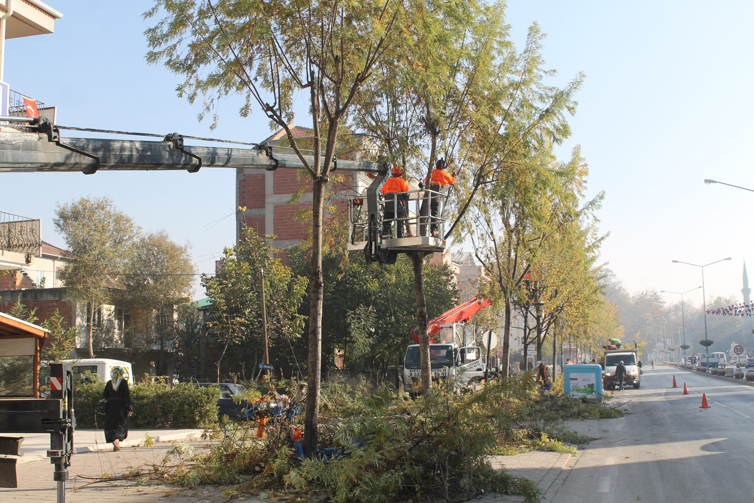 Budama çalışmaları start aldı