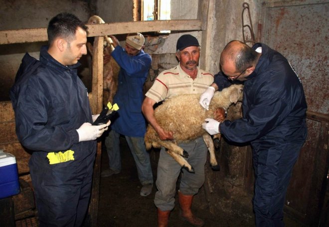 Aşılamalar devam ediyor