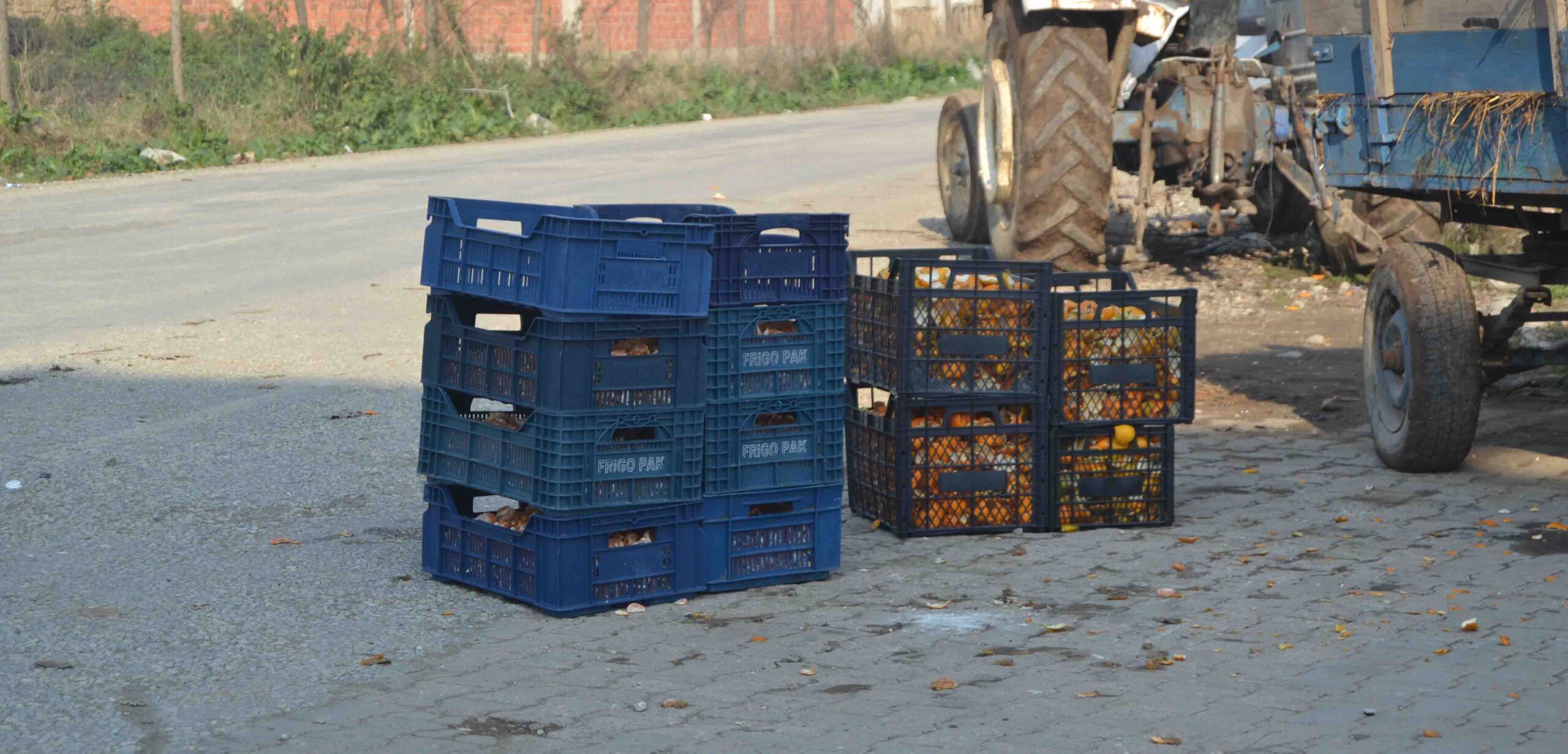 KIŞ AYLARINDA DA BOŞ DURMUYORLAR