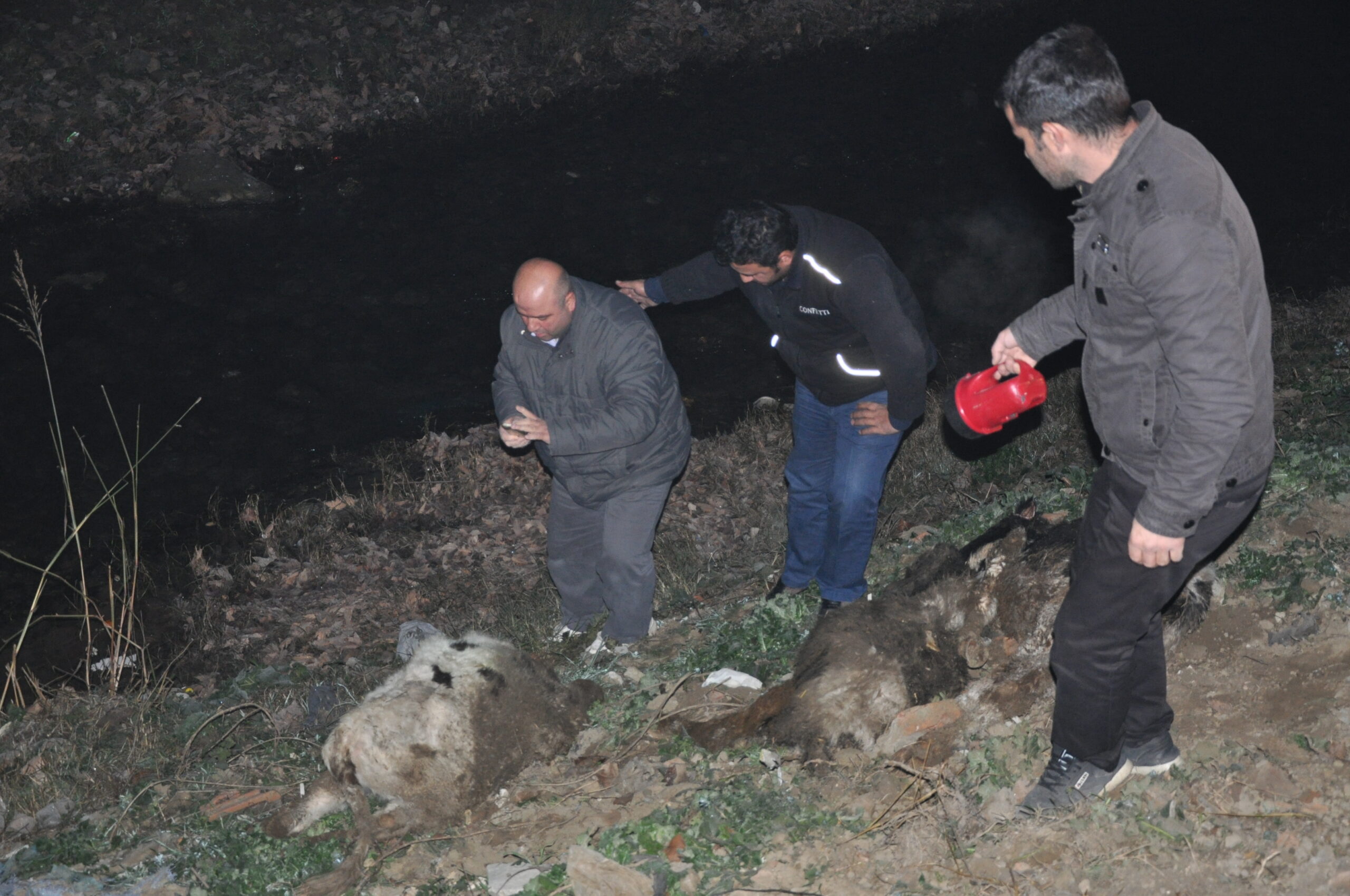 ÖLEN HAYVANLAR DERE KENARLARINA ATILIYOR