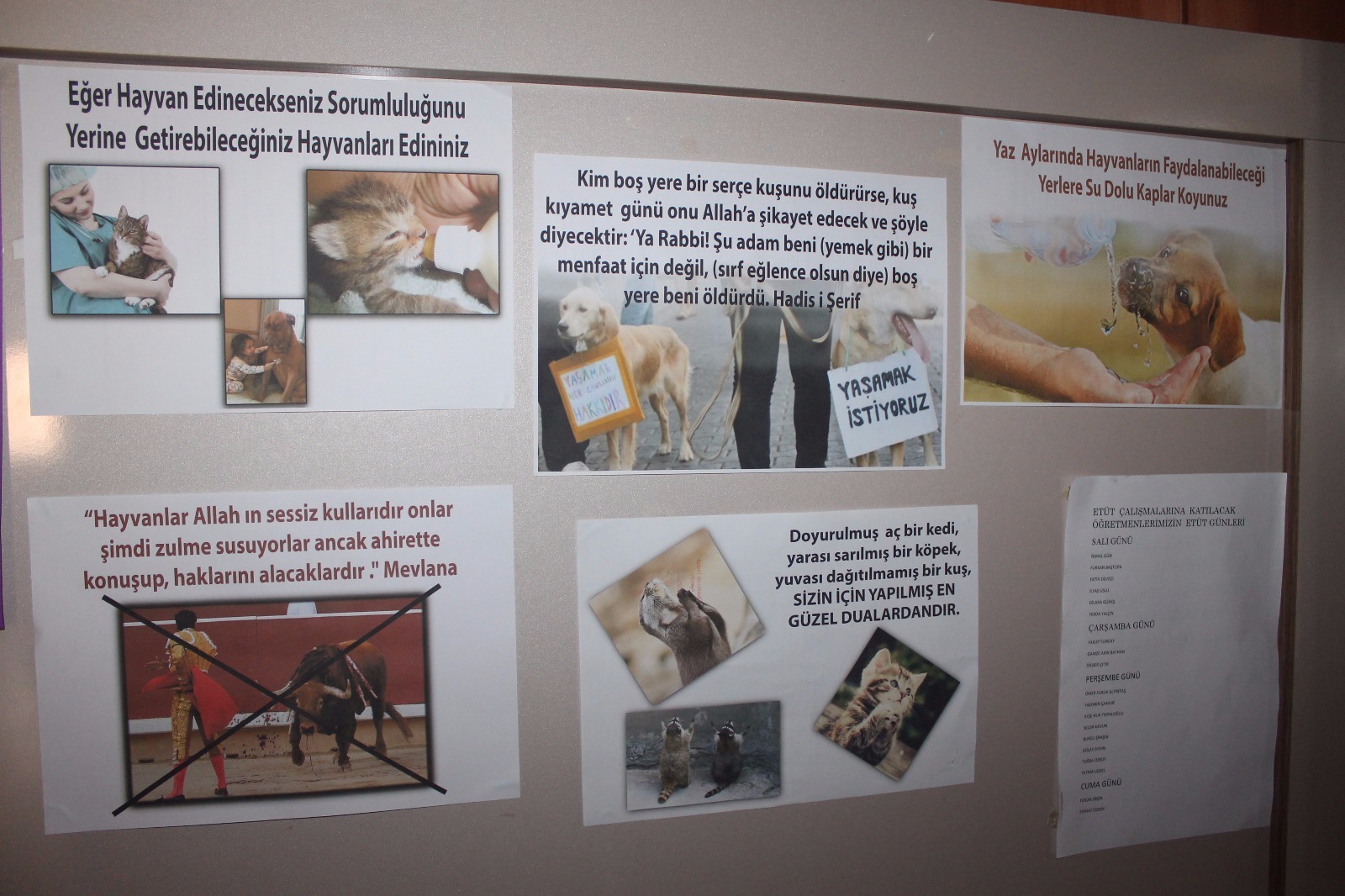 Erdem Beyazıt’ta hayvan sevgisi