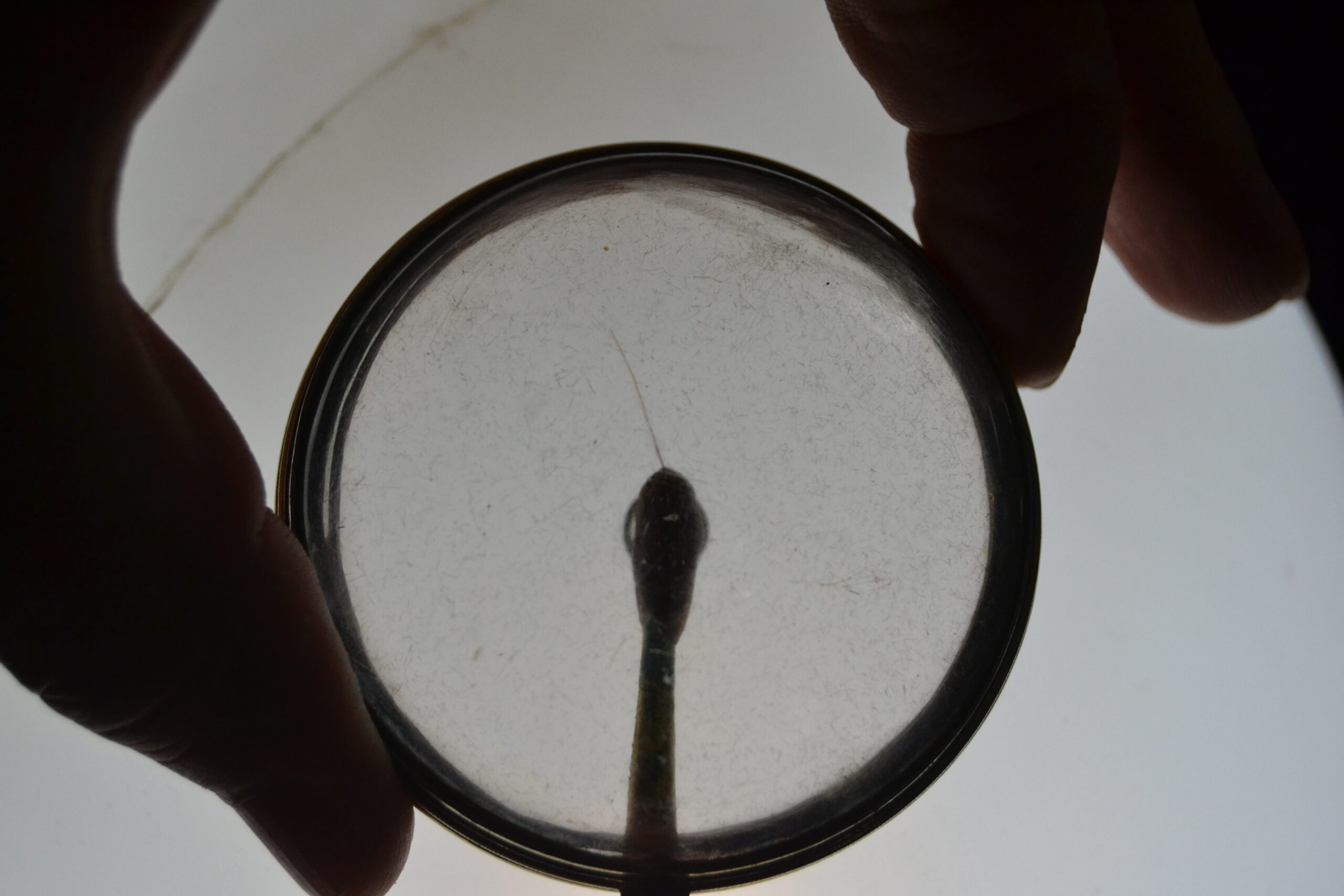 Sakal-ı Şerif ziyarete açıldı