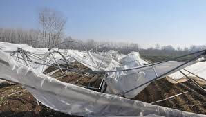 TARSİM’DEN SERACILARA CEVAP  Poliçe’de fırtına bulunmuyor