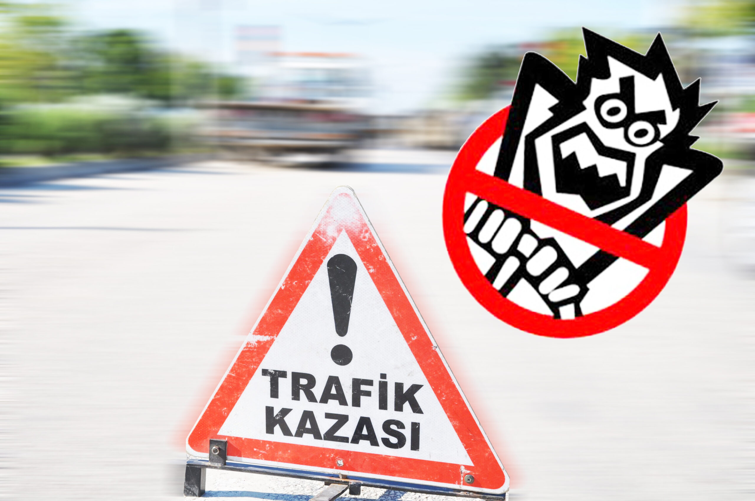 Hâkimiyetini kaybedip yol kenarına savruldu