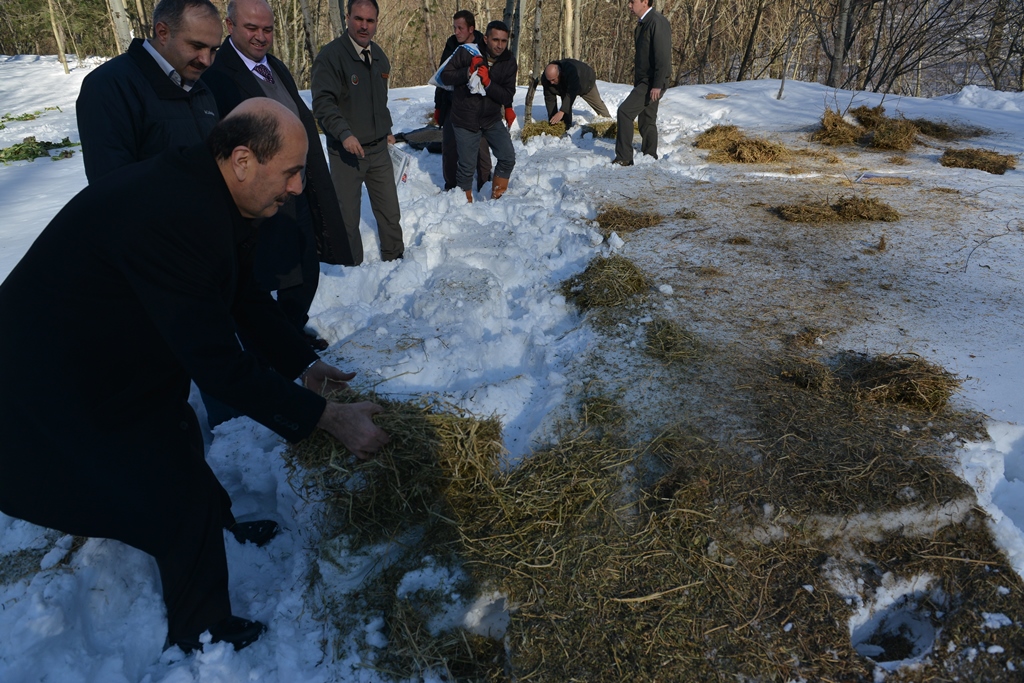 Onları unutmayalım!