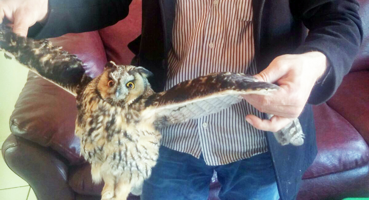 Hastanede “Baykuş” seferberliği