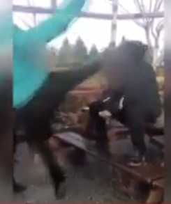 İnegöl’e yakışmadı