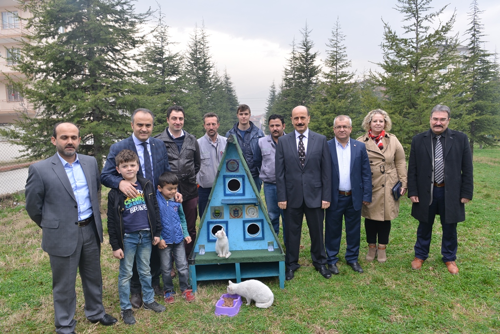 Kedi evleri birçok noktaya yerleştirilecek