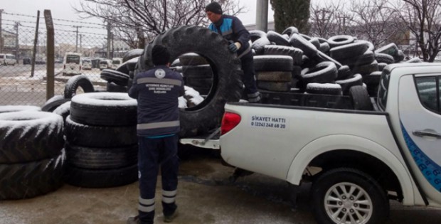 Sinek üreme alanları yok ediliyor