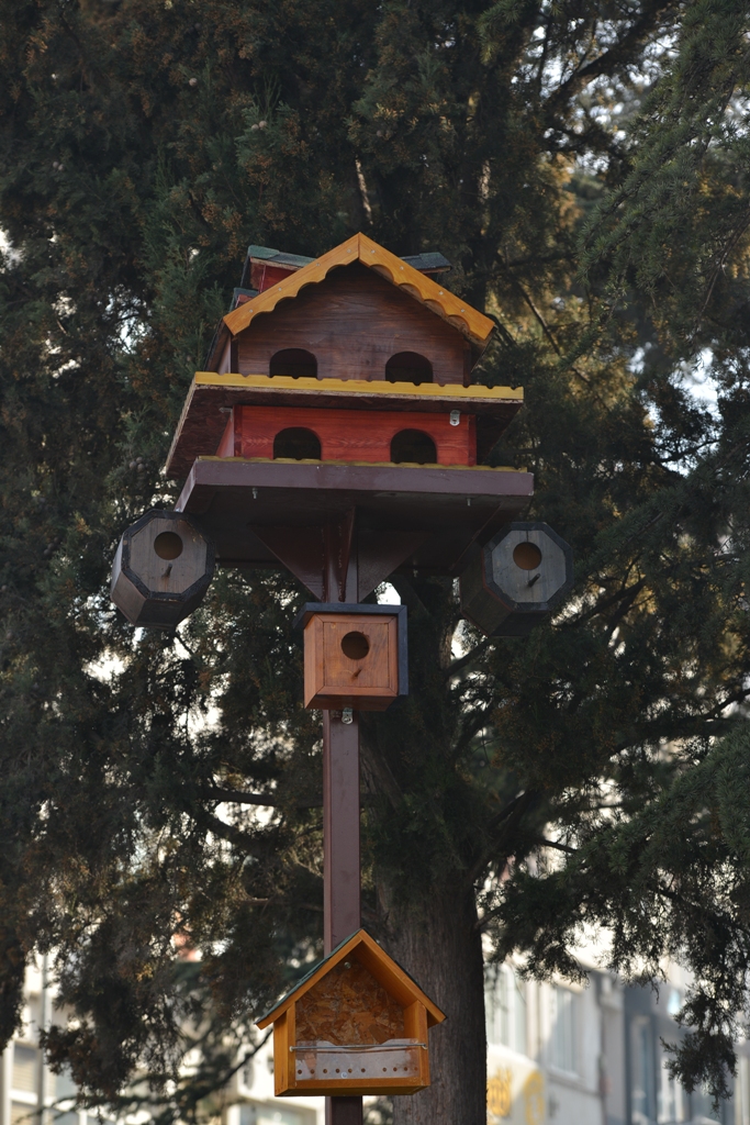 Kuşlar yuvalarına kavuşuyor