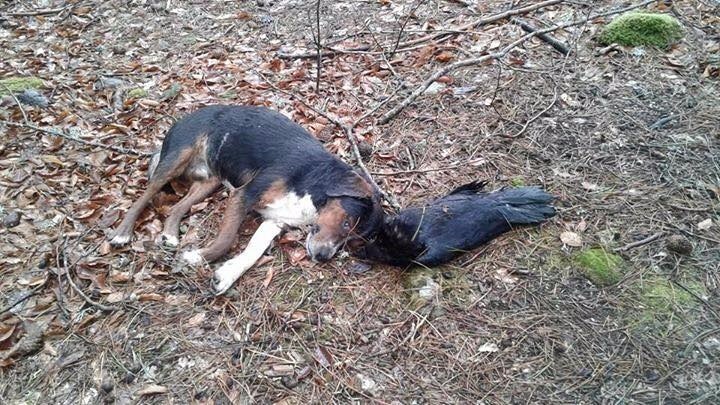 “Her can kutsaldır”