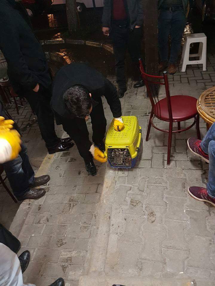 Duyarlı vatandaşlar seferber oldu