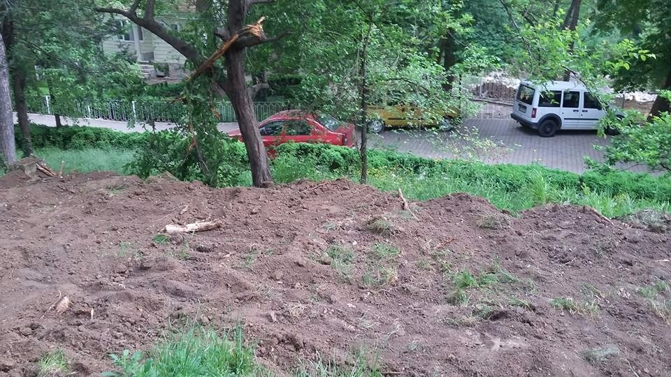 Cerrah Parkı bakıma alındı