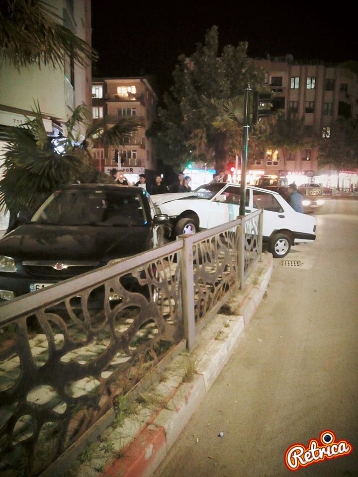 Ağaca çarparak durabildi