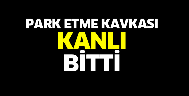 Alanyurt’ta kan aktı