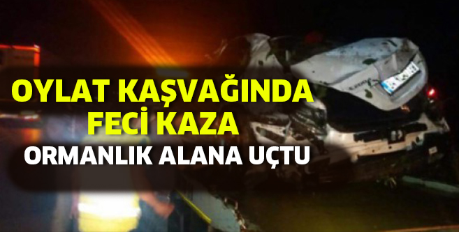 Ormanlık alana uçtu