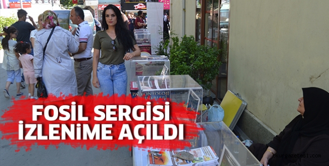 Fosil sergisi izlenime açıldı