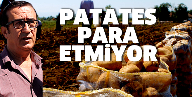 Patates para etmiyor