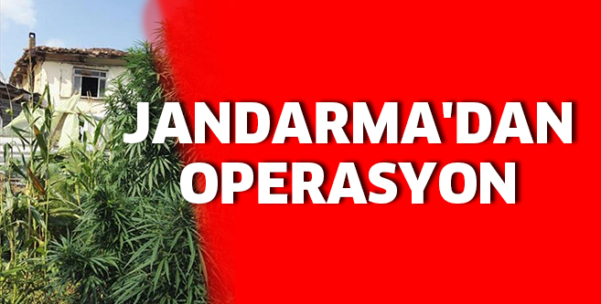JANDARMA’DAN OPERASYON