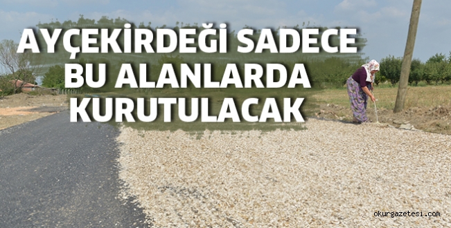 Sadece bu alanda kurutulacak