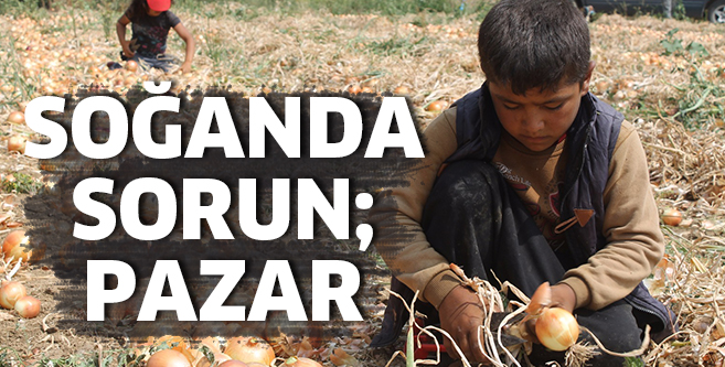 SOĞANDA SORUN; PAZAR