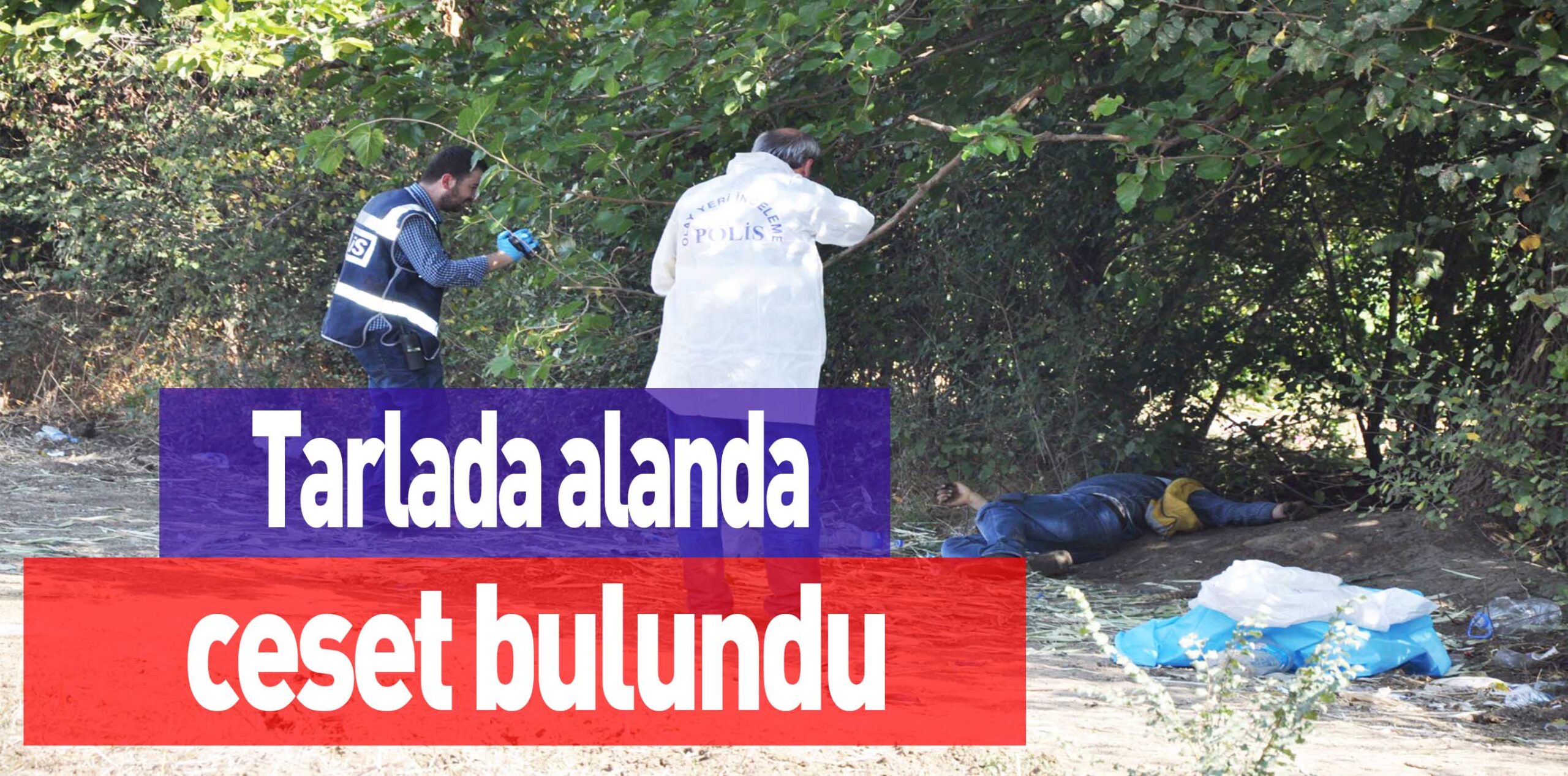 Tarlada alanda ceset bulundu