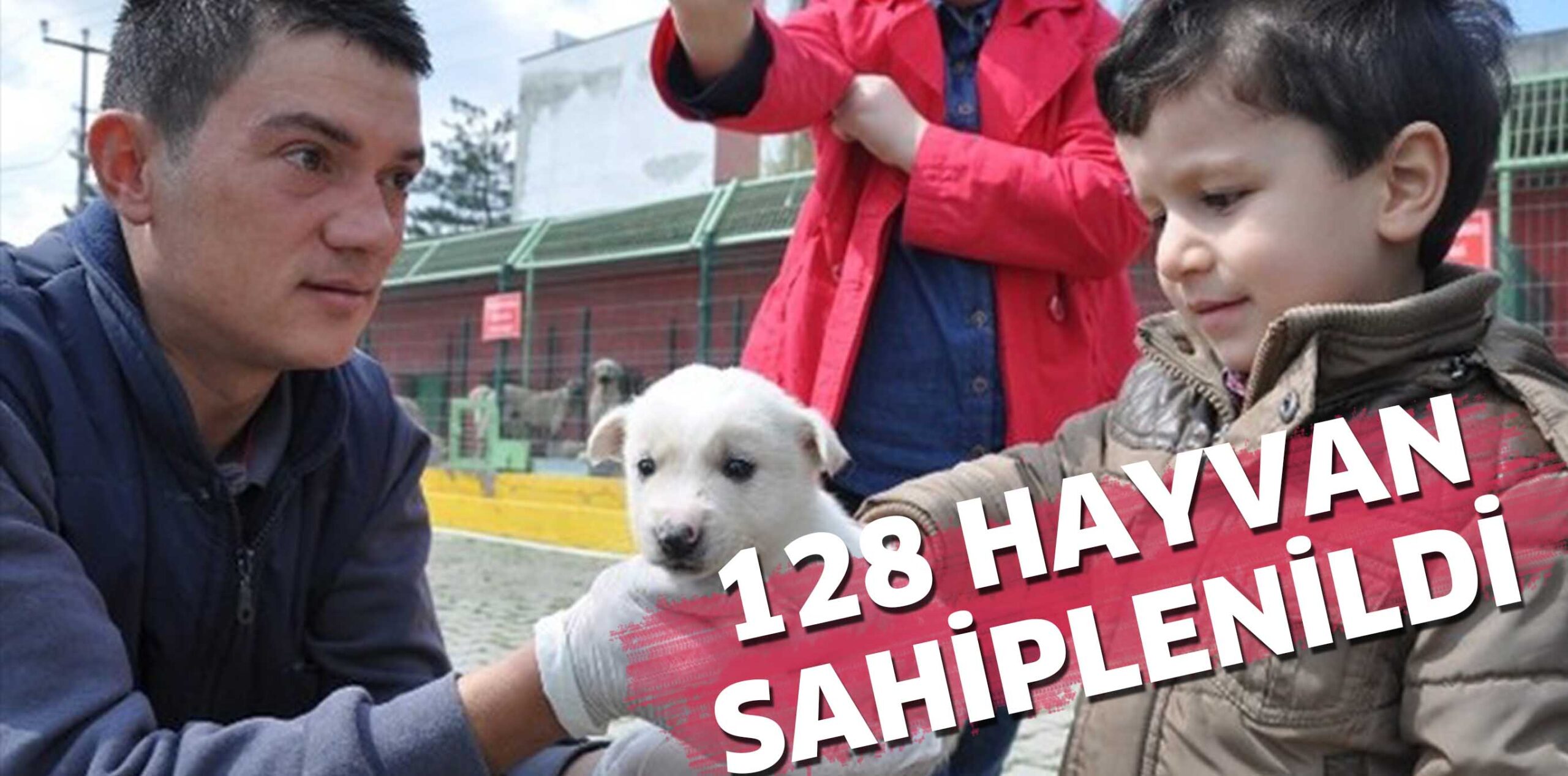 128 HAYVAN SAHİPLENİLDİ