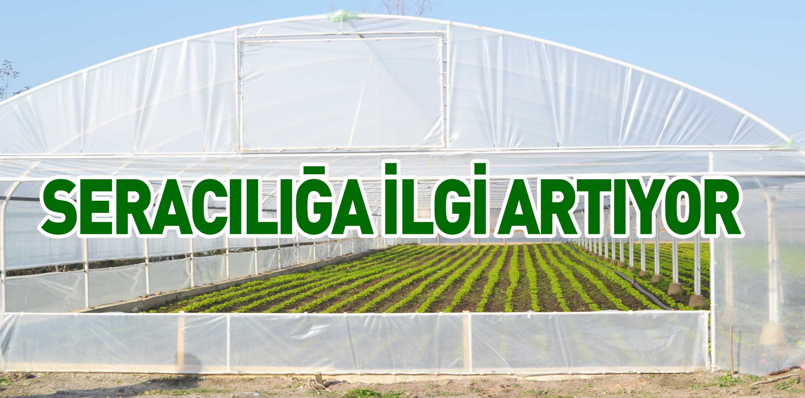 SERACILIĞA İLGİ ARTIYOR