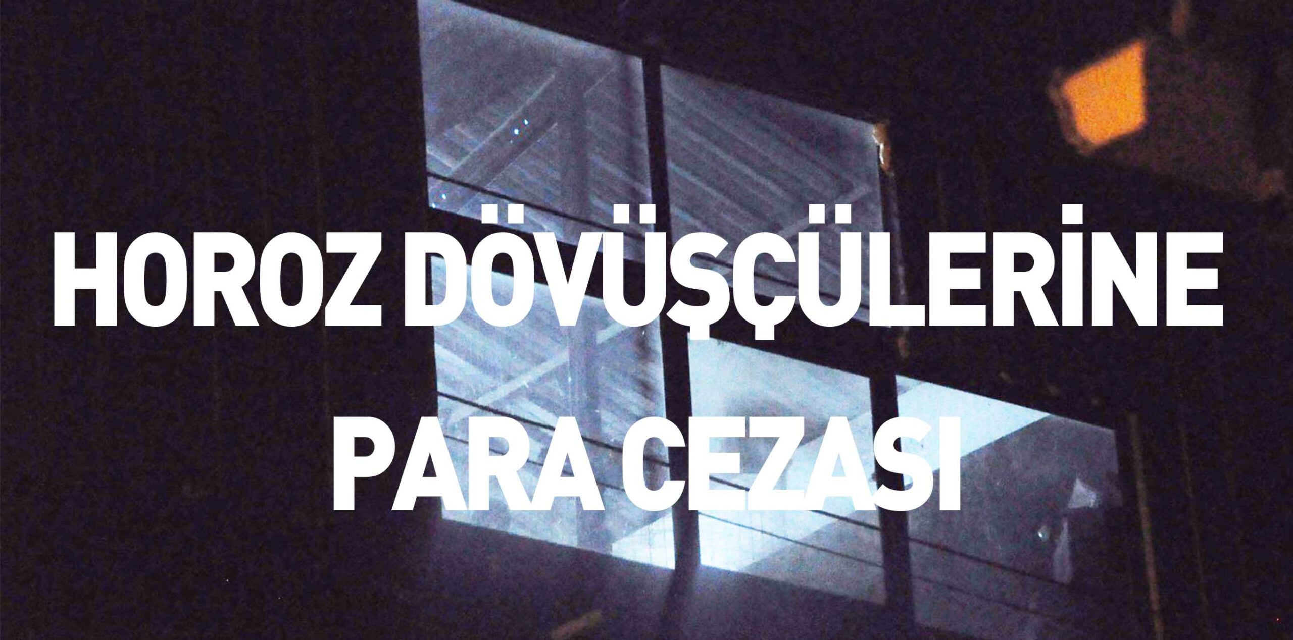 HOROZ DÖVÜŞÇÜLERİNE PARA CEZASI