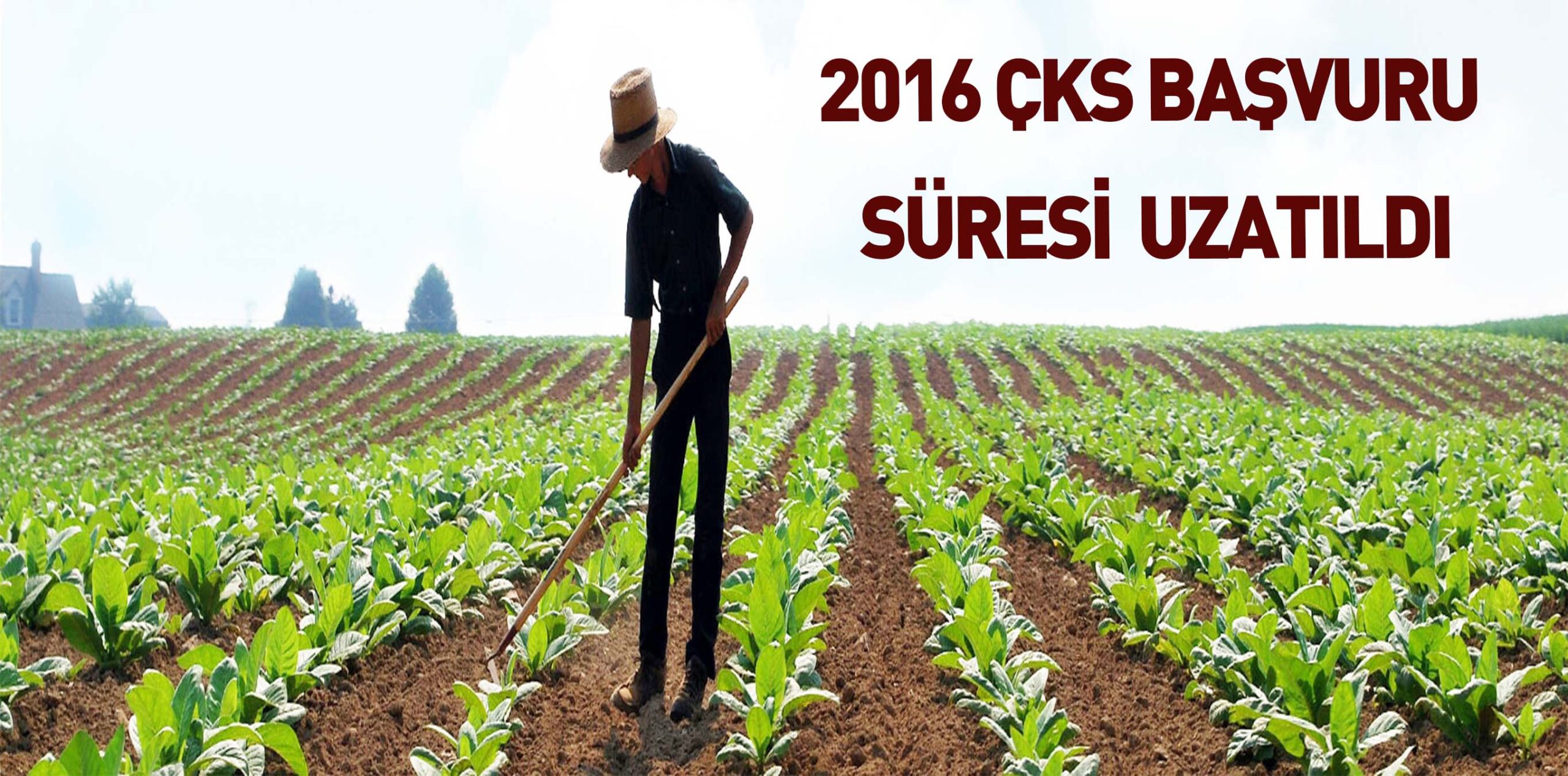 2016 ÇKS BAŞVURU SÜRESİ UZATILDI