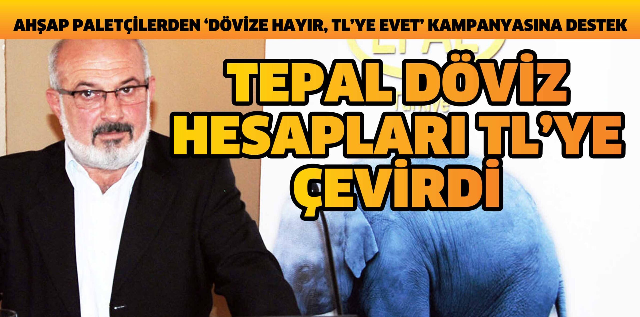 TEPAL DÖVİZ HESAPLARI TL’YE ÇEVİRDİ