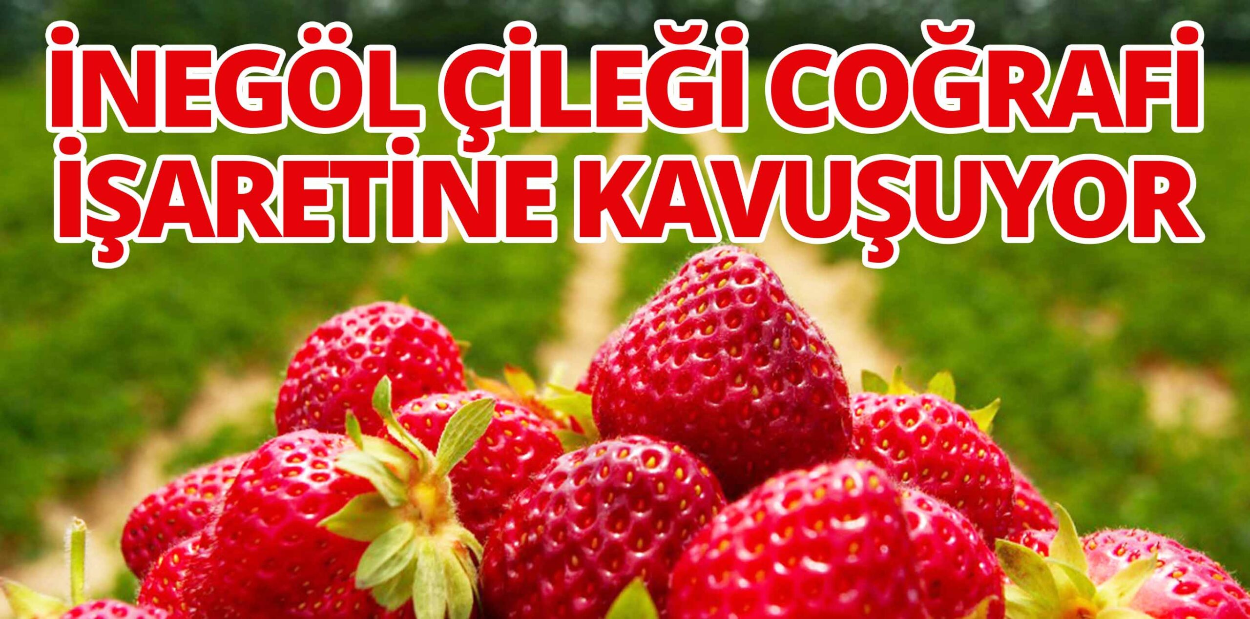 İNEGÖL ÇİLEĞİ COĞRAFİ İŞARETİNE KAVUŞUYOR