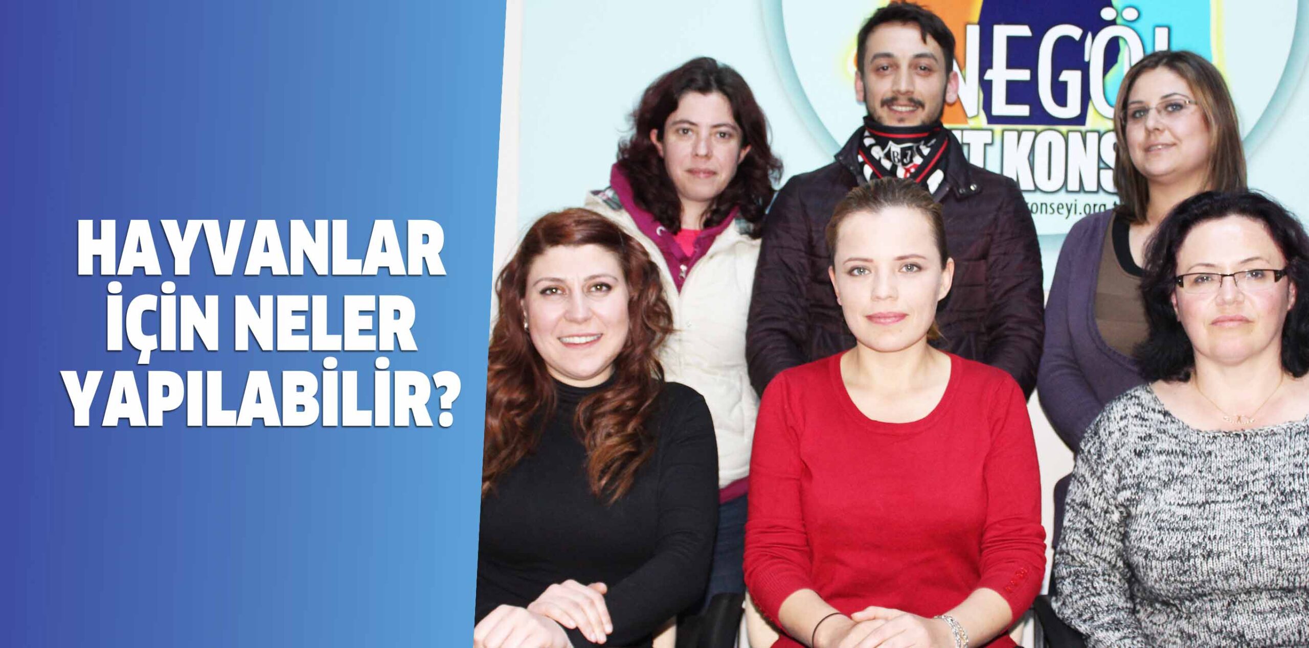 KIŞ ŞARTLARINDA HAYVANLAR İÇİN NELER YAPILABİLİR?