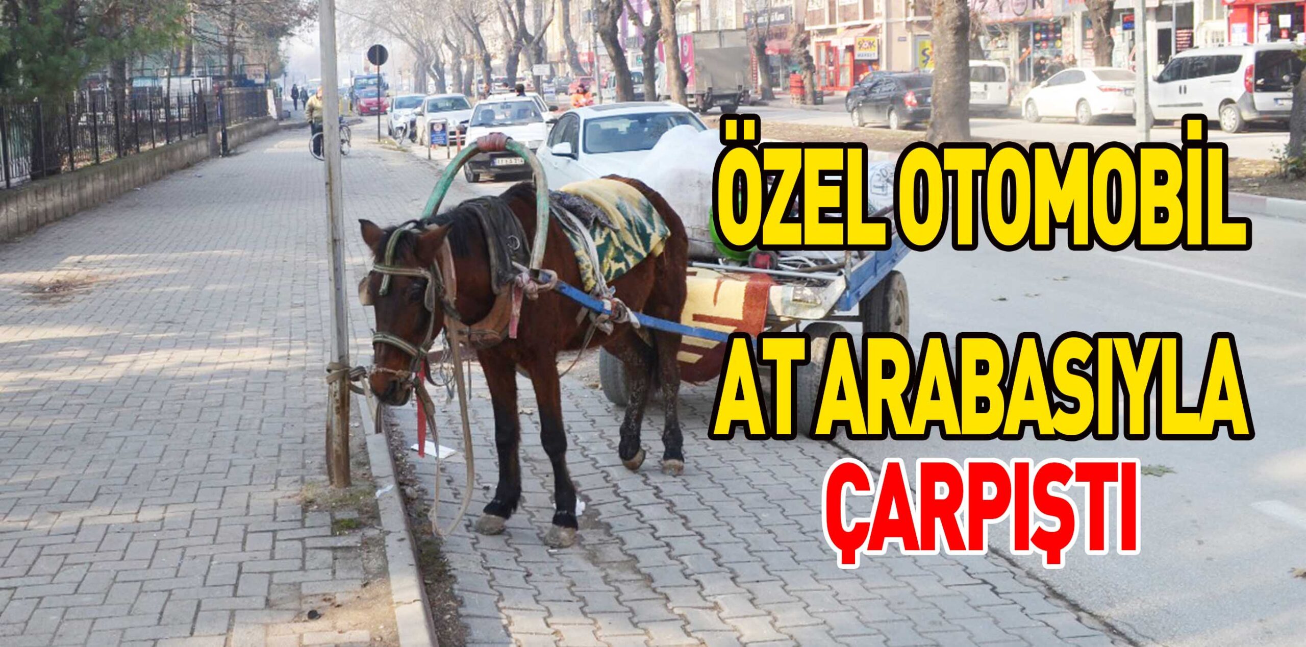 ÖZEL OTOMOBİL AT ARABASIYLA ÇARPIŞTI