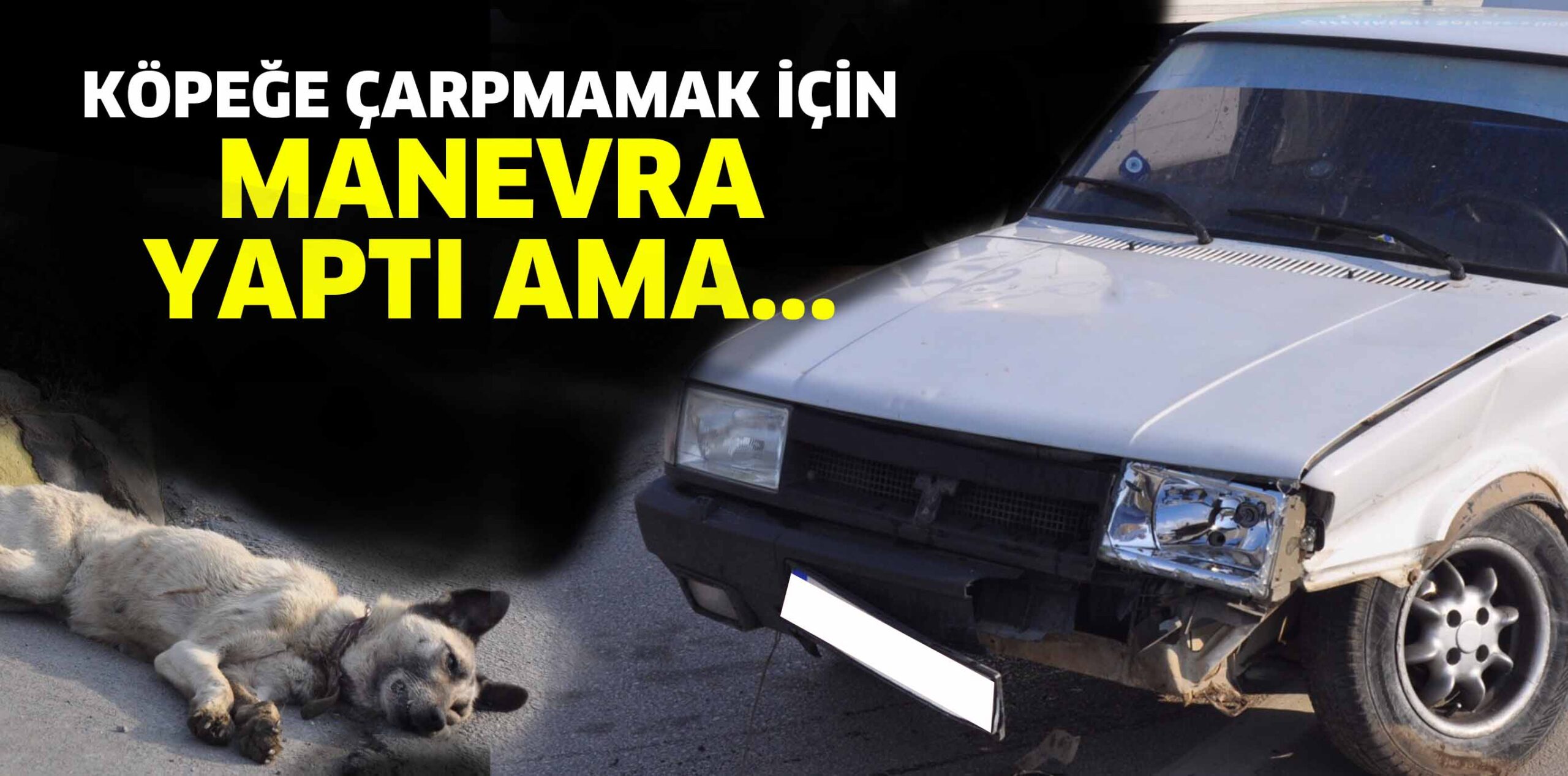 KÖPEĞE ÇARPMAMAK İÇİN MANEVRA YAPTI AMA…