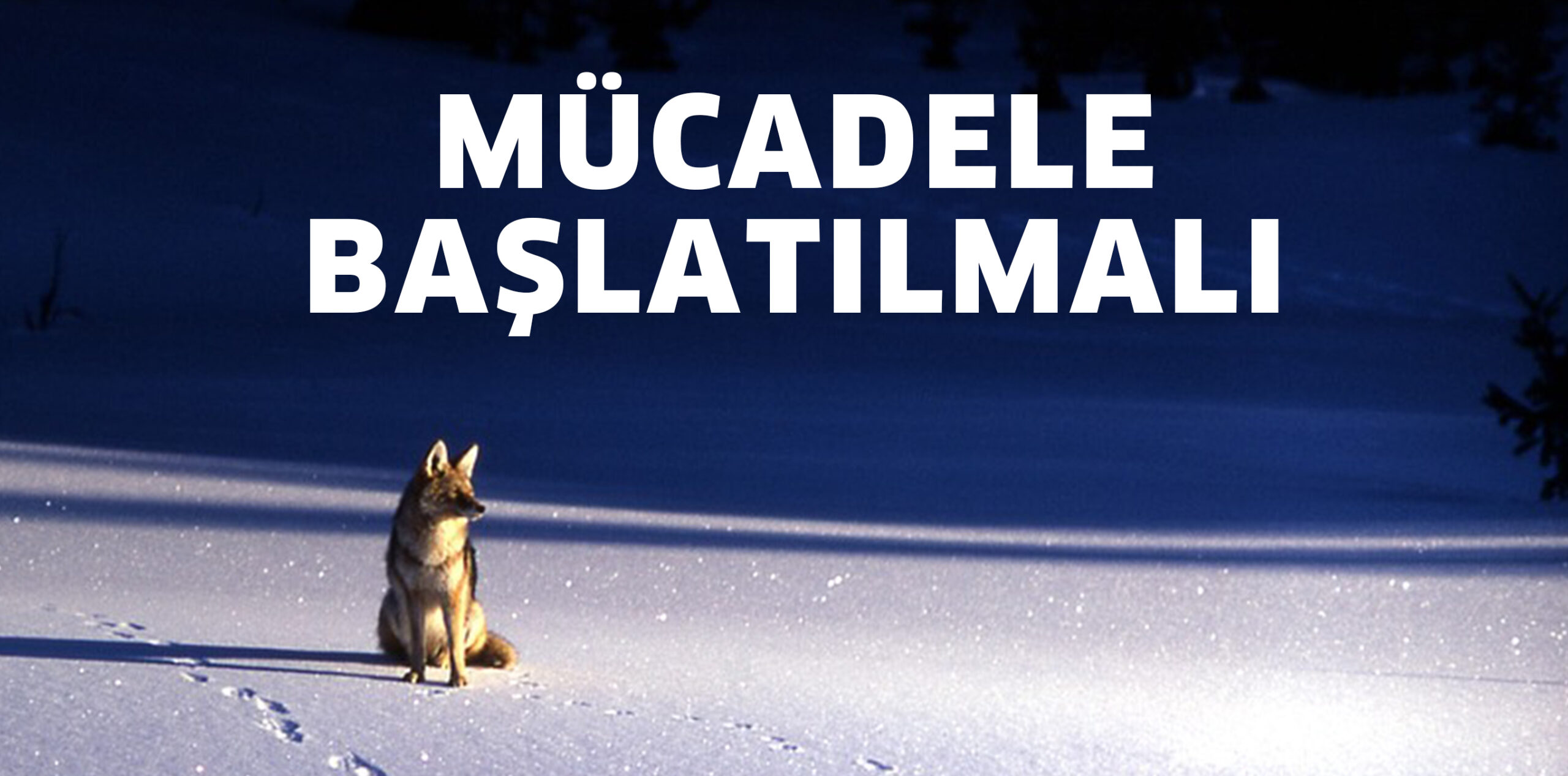 MÜCADELE BAŞLATILMALI