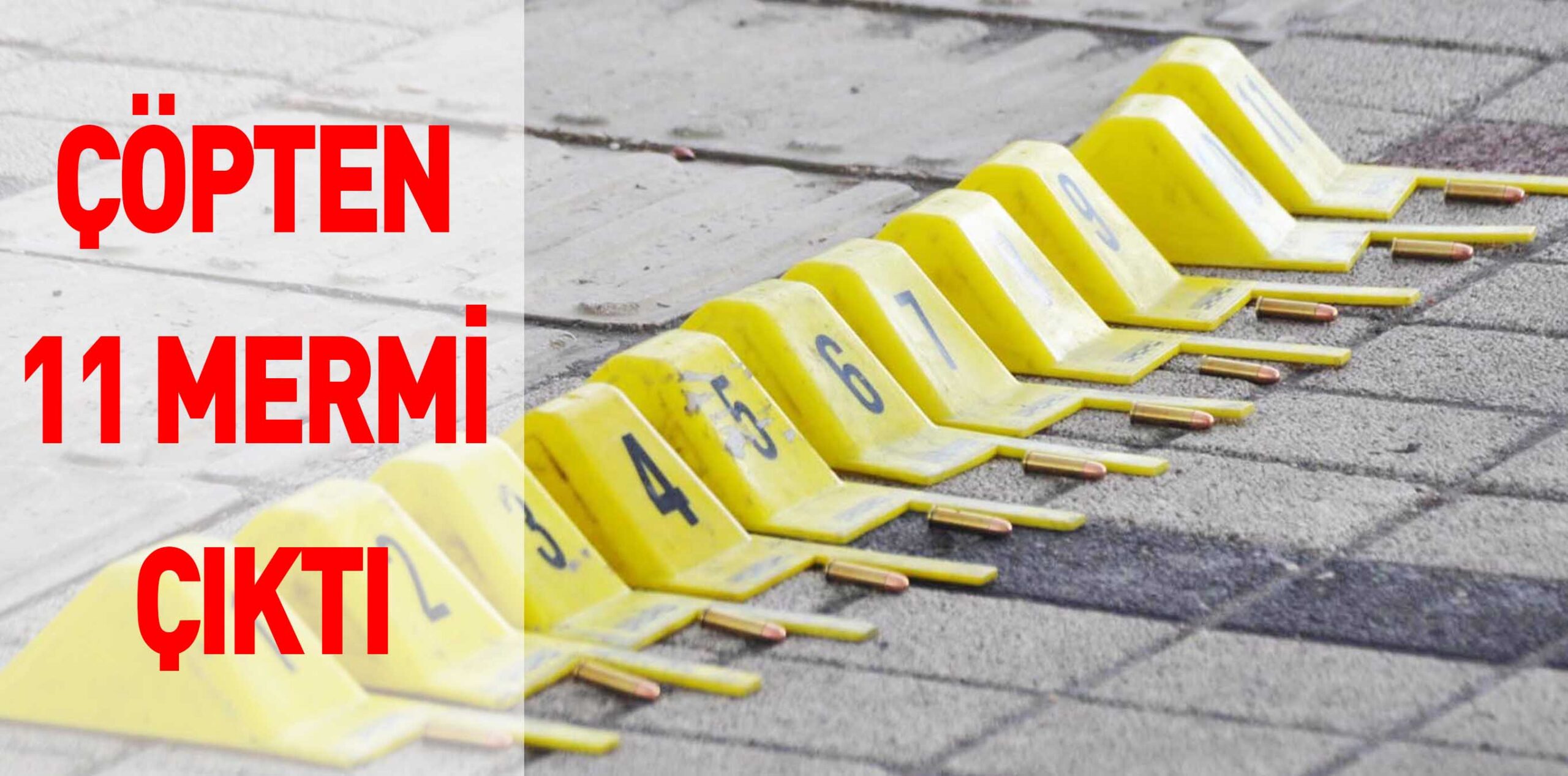 ÇÖPTEN 11 MERMİ ÇIKTI