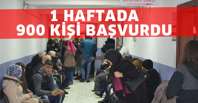 BİR HAFTA İÇERİSİNDE 900 KİŞİ BAŞVURDU