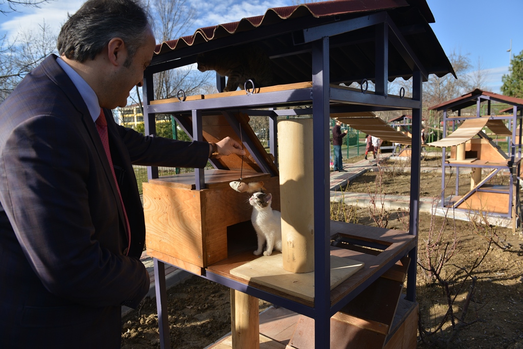 HAYVANLAR İÇİN HİZMETE DEVAM