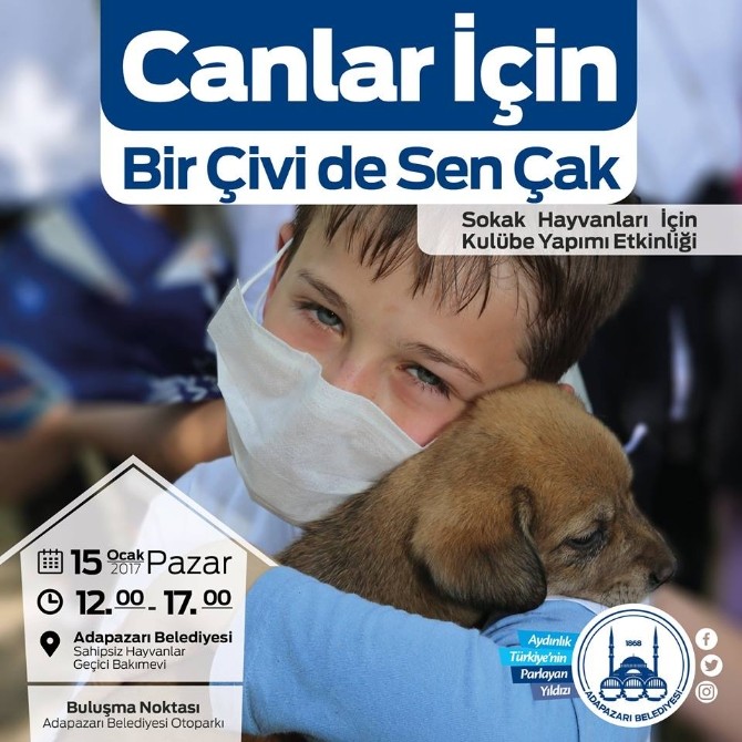 Adapazarı Belediyesi Sokak Hayvanları İçin Çalışmalarına Devam Ediyor