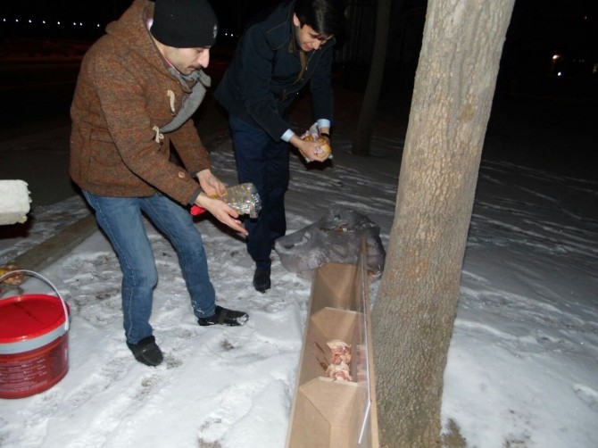 Ak Partinin “Sessiz Dostlarımız İçin Lokanta Projesi” İlgi Görüyor