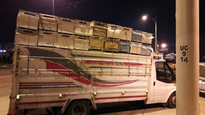 Arı Kovanlarını Çalan Hırsız Diyarbakırda Yakalandı