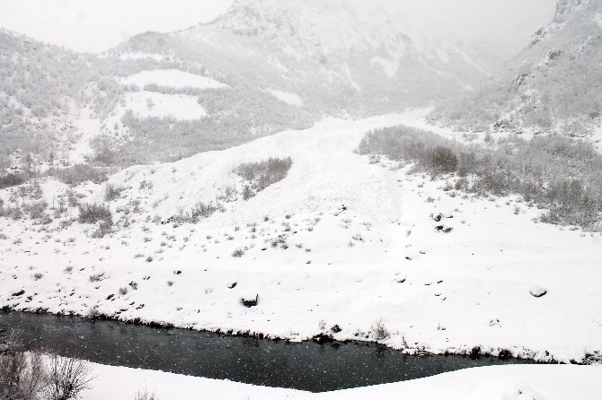 Beytüşşebapta Çığ Düştü