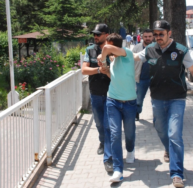 Bonzai Satıcısına 8 Yıl 4 Ay Hapis Cezası