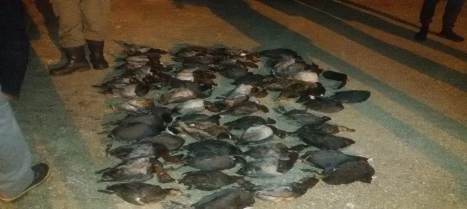 Bursada Kaçak Avcılara 32 Bin Lira Ceza