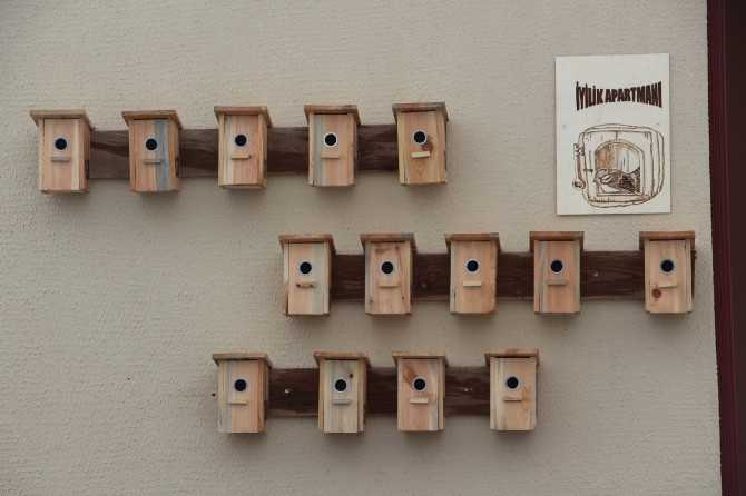 Çankırıda Kuşlar İçin İyilik Apartmanı