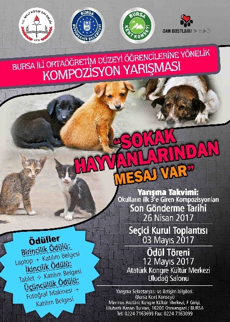 Çocuklar Sokak Hayvanları İçin Yarışacak